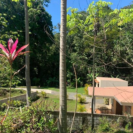 Alma Del Bosque Vacation Home And Apartments Quepos Buitenkant foto