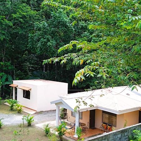 Alma Del Bosque Vacation Home And Apartments Quepos Buitenkant foto