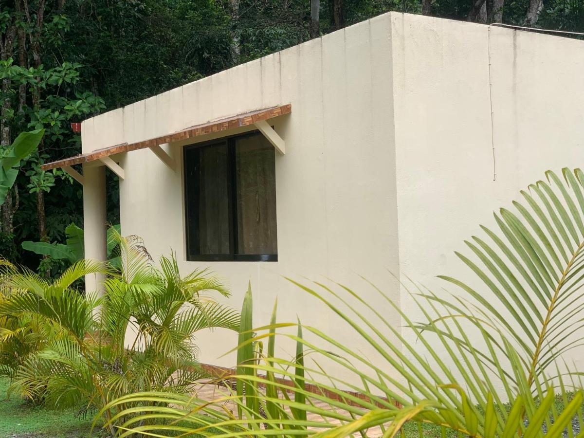 Alma Del Bosque Vacation Home And Apartments Quepos Buitenkant foto