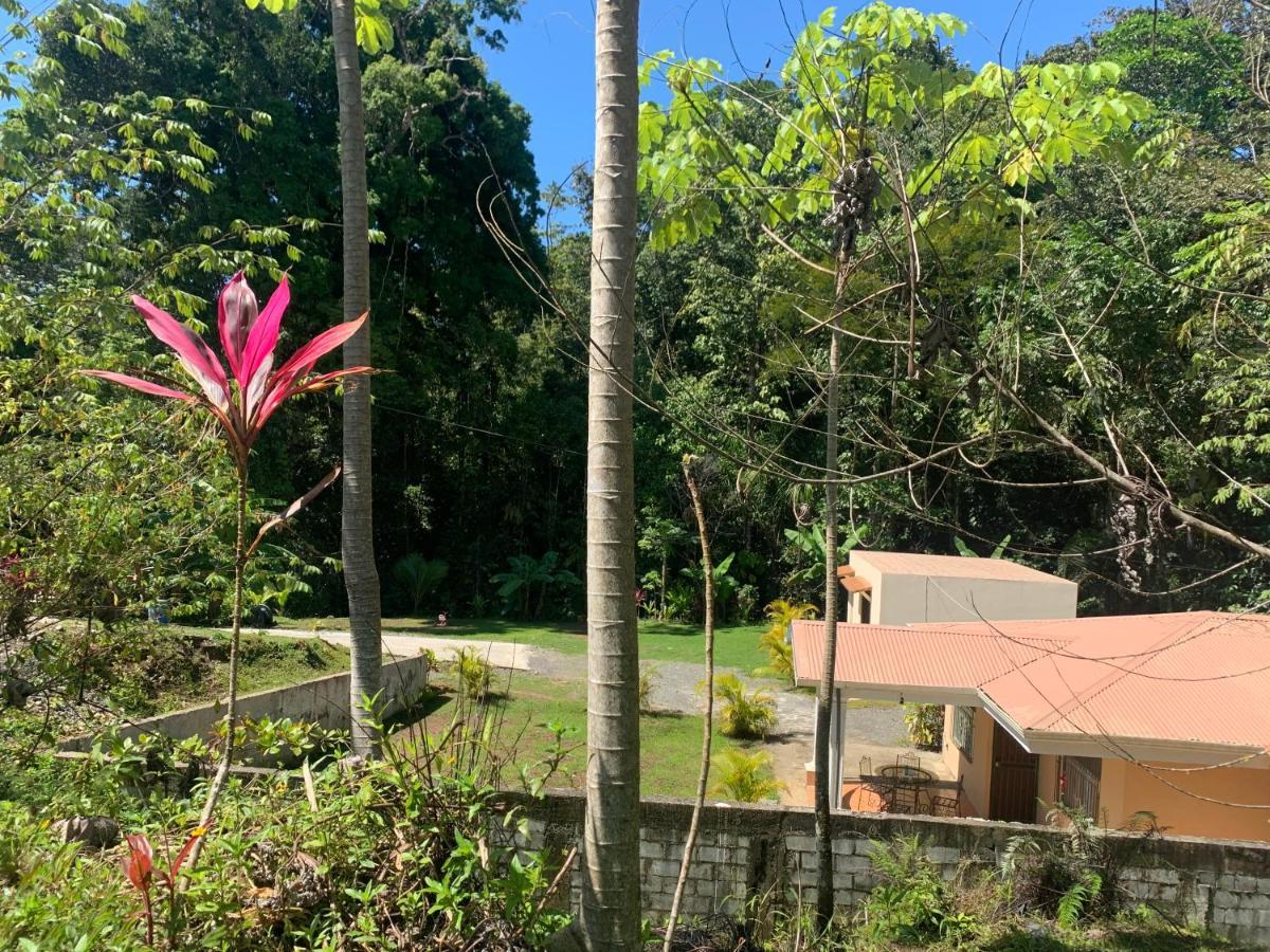 Alma Del Bosque Vacation Home And Apartments Quepos Buitenkant foto